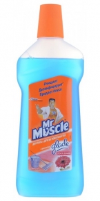Mr. floor cleaner Muscle after rain 500 ml.
