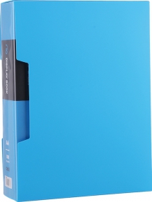 Plastic folder with 100 files A4 Deli, color