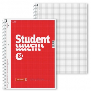 Notebook A4 Brunnen Student, spiral binding, grid