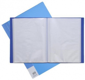 Plastic folder A4 Xinbihe, 60 files