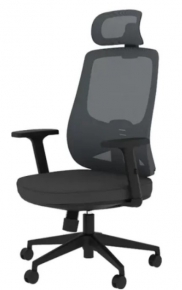 Office chair with mesh back and headrest Deli CDMV01, Black