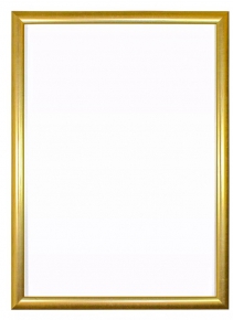 A3 frame (thickness 1 cm.) Golden