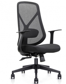 Office Chair with Mesh Backrest BN6243B, Black