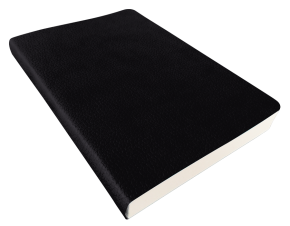 Notebook Business Notebook, with soft leather cover, A5, color